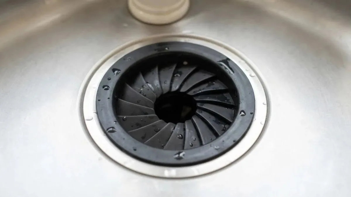 Garbage disposal splash guard and flange seen from above