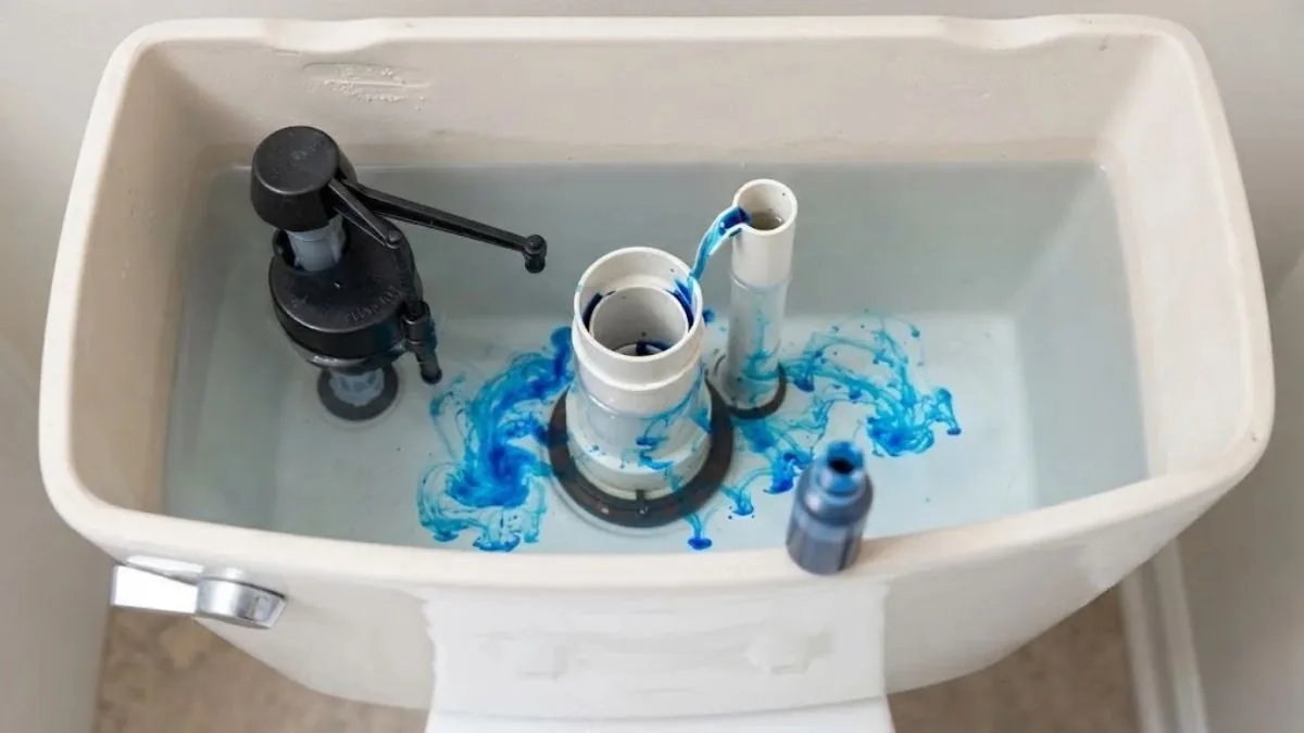 Toilet tank with food coloring for a leak dye test
